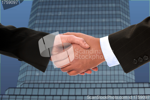 Image of Hand shake between a businessman and a businesswoman