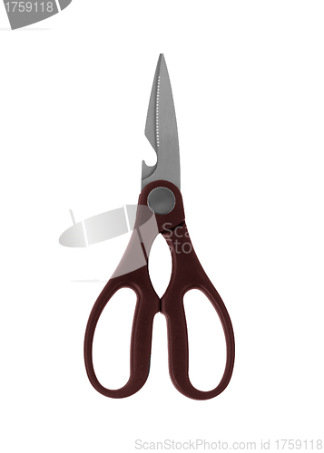 Image of Scissors isolated on the white background