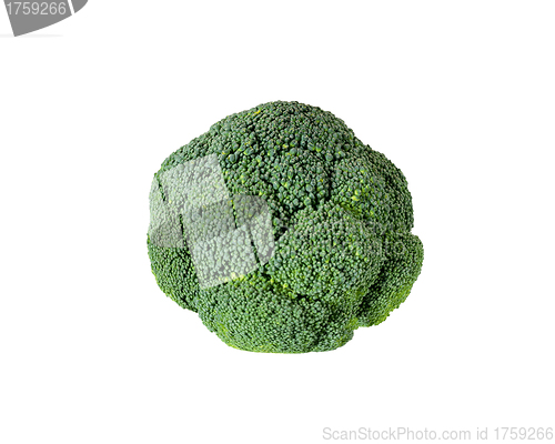 Image of Broccoli