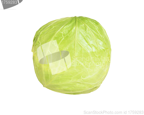 Image of cabbage isolated