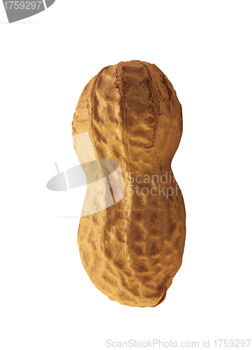 Image of Peanuts isolated