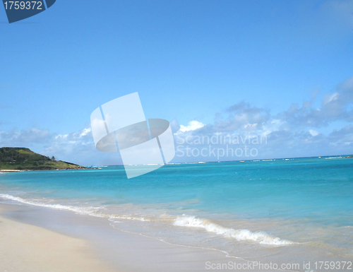 Image of tropical beach