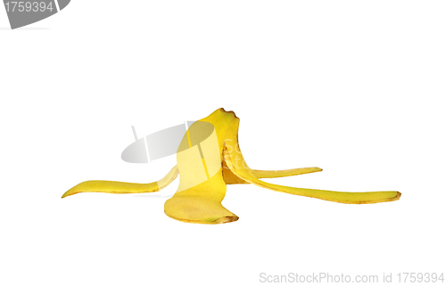 Image of Ripe banana peel isolated on white