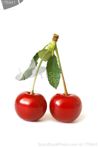 Image of Cherries