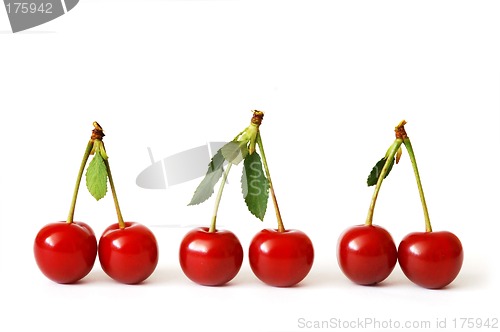 Image of Cherries