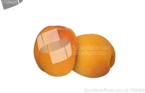 Image of Apricots isolated on a white background