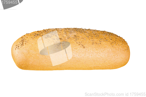 Image of delicious bun with sesame seeds isolated