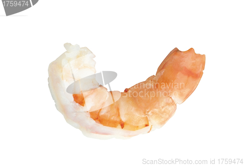 Image of Closeup view of shrimp isolated