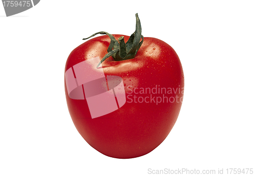 Image of tomato with water drops