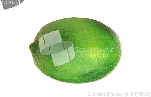 Image of single lime on white background