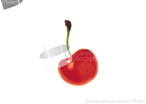 Image of cherry