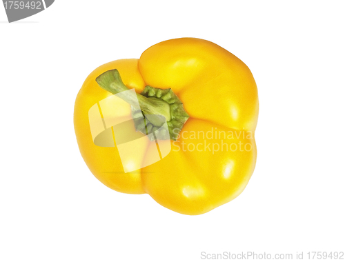 Image of sweet yellow pepper isolated on white