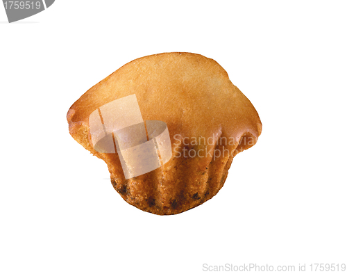 Image of single muffin isolated