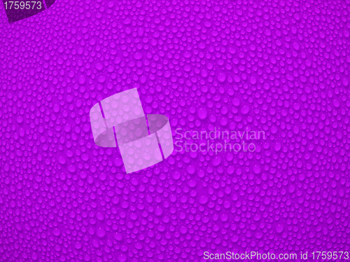 Image of Water drop om purple background