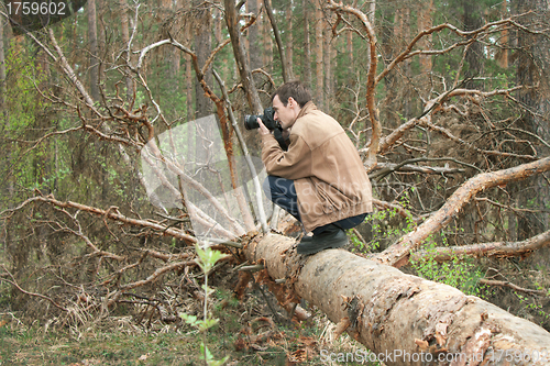 Image of A man sitting on a fallen tree