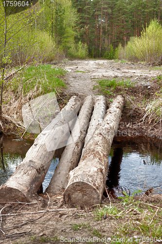 Image of Crossing the stream in spring