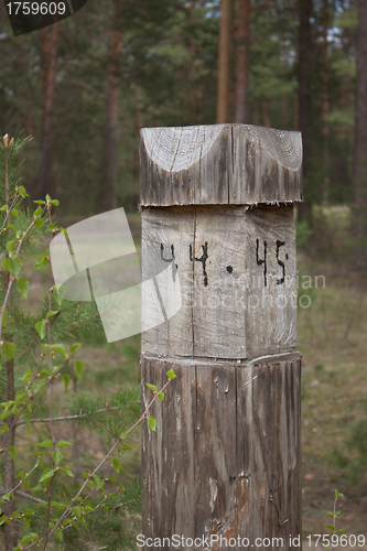 Image of A pillar at the intersection of firebreaks