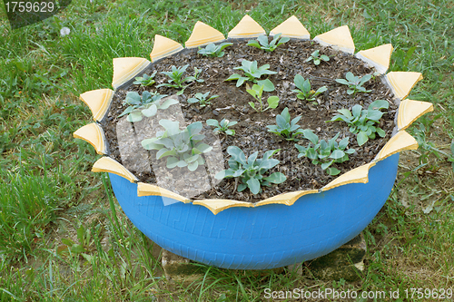 Image of Pot made â€‹â€‹from old car tires