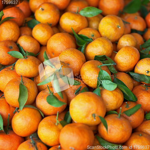Image of Mandarins on the counter of Market