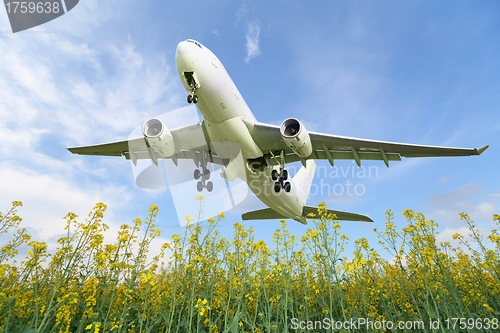 Image of Aircraft takes off over the meadow