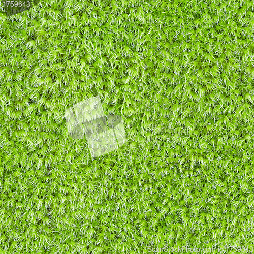 Image of Seamless square texture - green moss