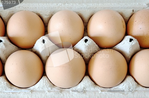 Image of Eggs in a carton