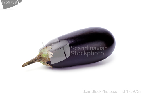 Image of Eggplant isolated on white background