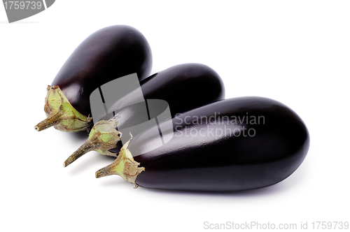 Image of Eggplants isolated on white background