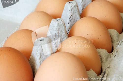 Image of Eggs in a carton