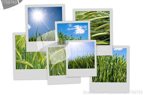 Image of Countryside theme photo collection