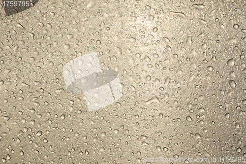 Image of raindrops on a tent wall