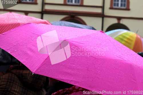 Image of rainy day umbrellas