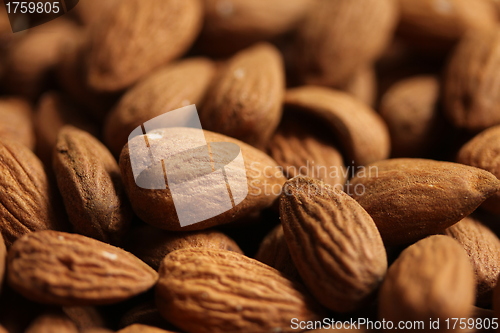 Image of almonds