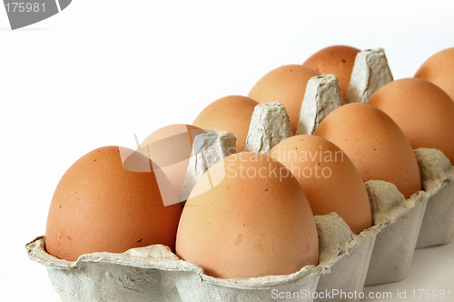 Image of Eggs in a carton