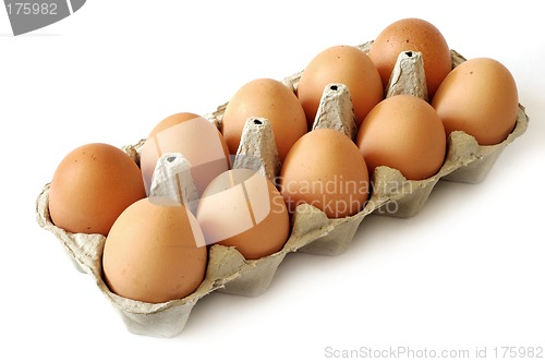 Image of Eggs in a carton