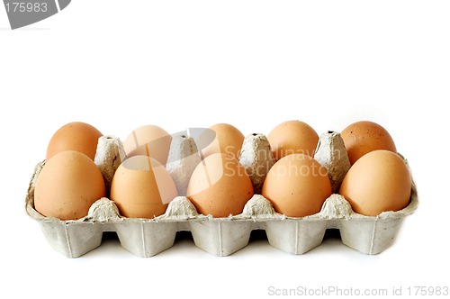 Image of Eggs in a carton