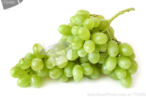 Image of Grape