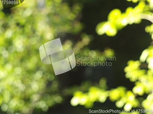 Image of bokeh