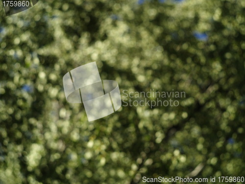Image of bokeh