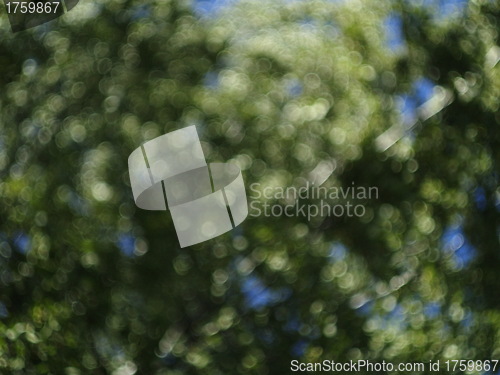 Image of bokeh