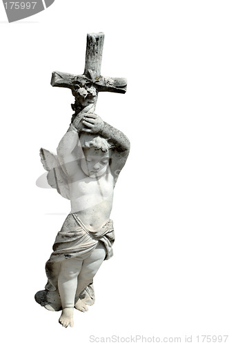 Image of Angel, isolated with clipping path