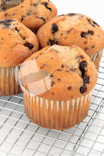 Image of Chocolate Chip Muffins