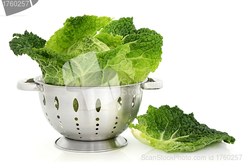 Image of Cabbage