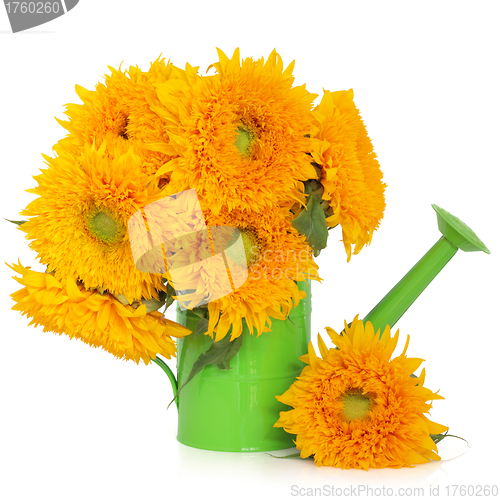 Image of Sunflowers