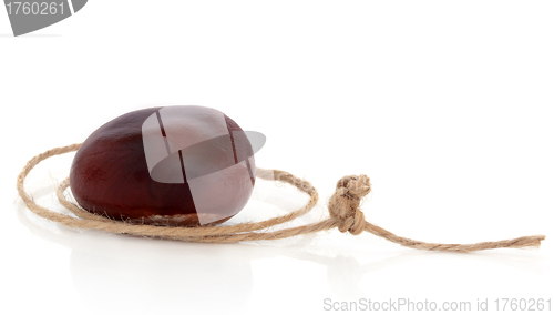 Image of Conker and String