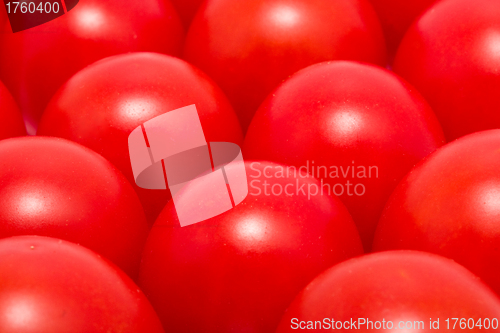 Image of Tomatoes