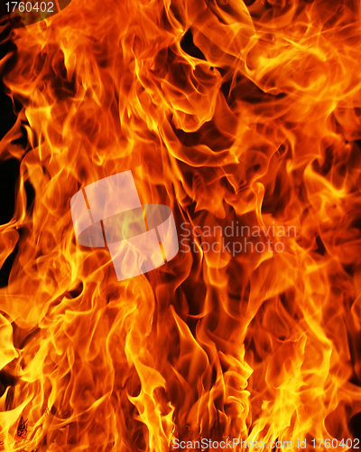 Image of Fire