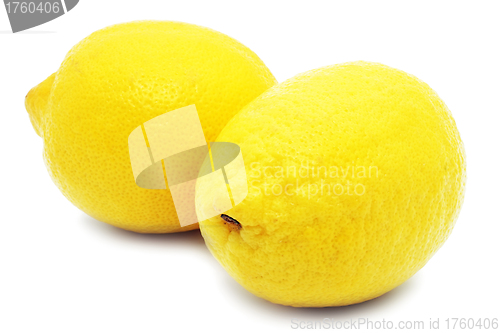 Image of Lemons