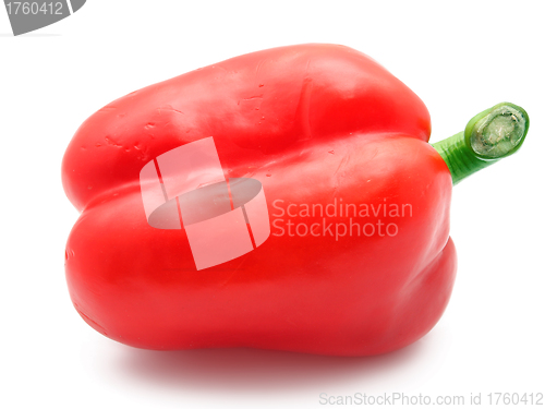 Image of Bell pepper