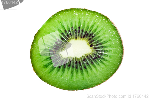 Image of Kiwi